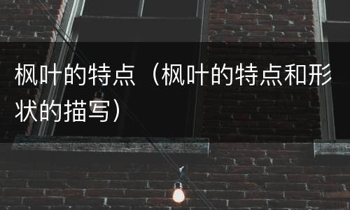 枫叶的特点（枫叶的特点和形状的描写）