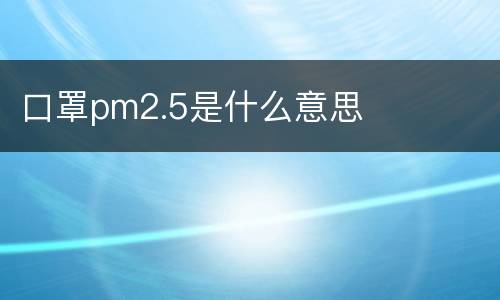 口罩pm2.5是什么意思