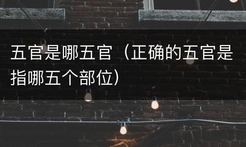 五官是哪五官（正确的五官是指哪五个部位）