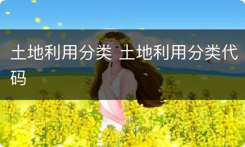 土地利用分类 土地利用分类代码