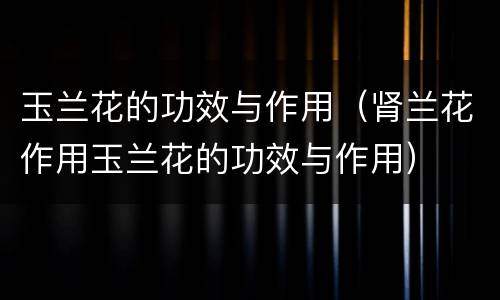 玉兰花的功效与作用（肾兰花作用玉兰花的功效与作用）