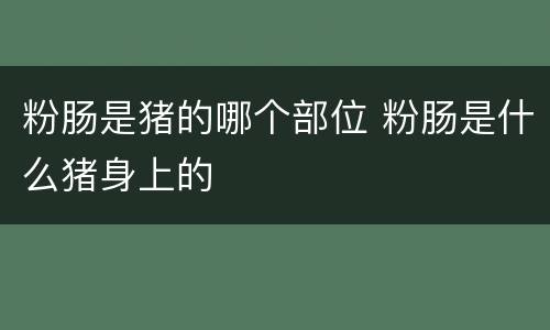 粉肠是猪的哪个部位 粉肠是什么猪身上的