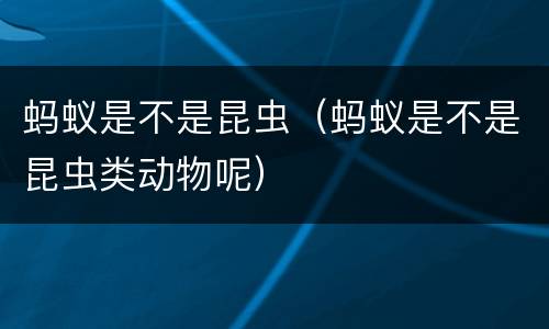 蚂蚁是不是昆虫（蚂蚁是不是昆虫类动物呢）