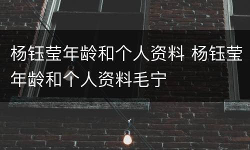 杨钰莹年龄和个人资料 杨钰莹年龄和个人资料毛宁