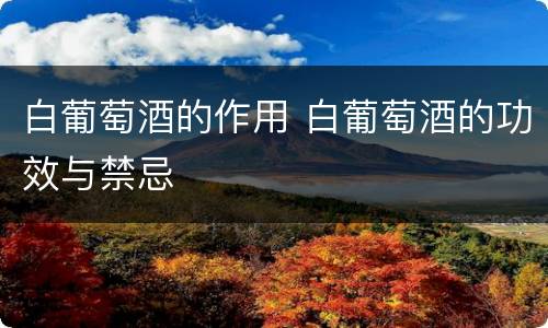 白葡萄酒的作用 白葡萄酒的功效与禁忌