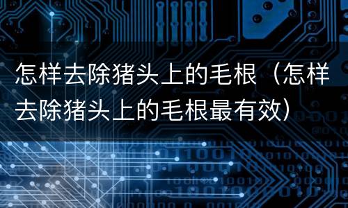怎样去除猪头上的毛根（怎样去除猪头上的毛根最有效）
