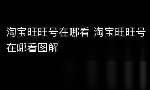 淘宝旺旺号在哪看 淘宝旺旺号在哪看图解