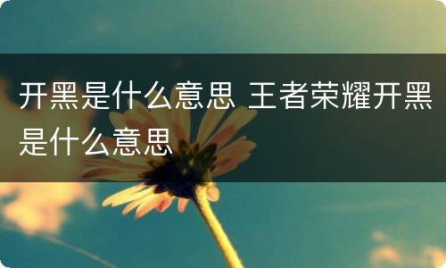 开黑是什么意思 王者荣耀开黑是什么意思