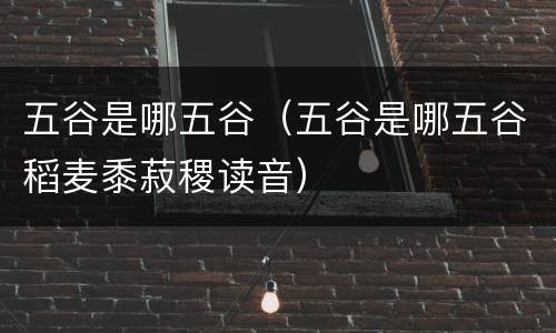 五谷是哪五谷（五谷是哪五谷稻麦黍菽稷读音）