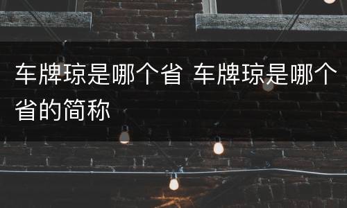 车牌琼是哪个省 车牌琼是哪个省的简称