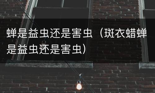 蝉是益虫还是害虫（斑衣蜡蝉是益虫还是害虫）