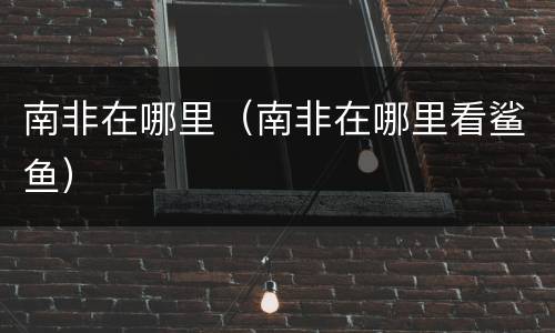南非在哪里（南非在哪里看鲨鱼）