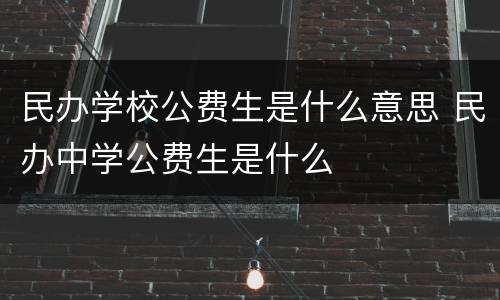 民办学校公费生是什么意思 民办中学公费生是什么