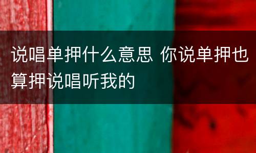 说唱单押什么意思 你说单押也算押说唱听我的