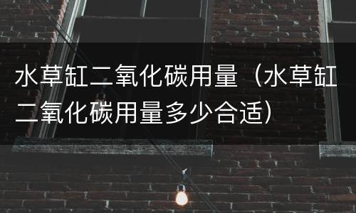 水草缸二氧化碳用量（水草缸二氧化碳用量多少合适）