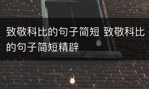 致敬科比的句子简短 致敬科比的句子简短精辟