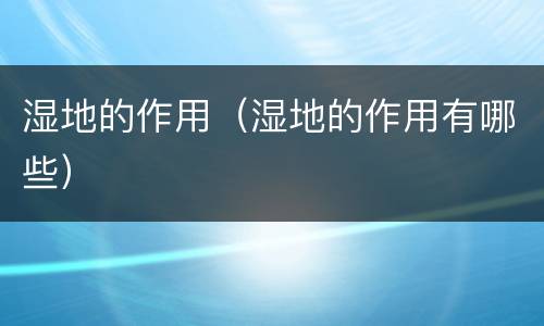 湿地的作用（湿地的作用有哪些）