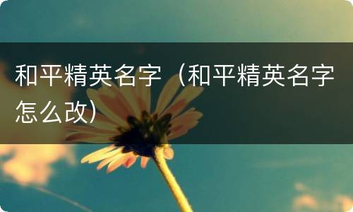 和平精英名字（和平精英名字怎么改）