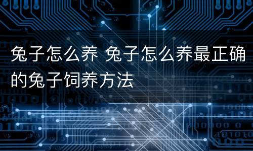 兔子怎么养 兔子怎么养最正确的兔子饲养方法