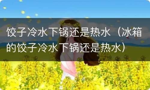 饺子冷水下锅还是热水（冰箱的饺子冷水下锅还是热水）