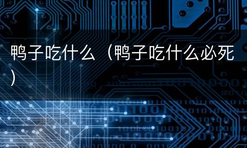 鸭子吃什么（鸭子吃什么必死）