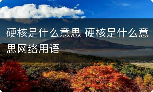 硬核是什么意思 硬核是什么意思网络用语