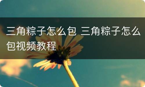 三角粽子怎么包 三角粽子怎么包视频教程