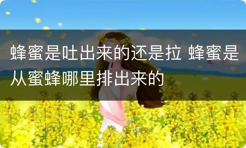 蜂蜜是吐出来的还是拉 蜂蜜是从蜜蜂哪里排出来的