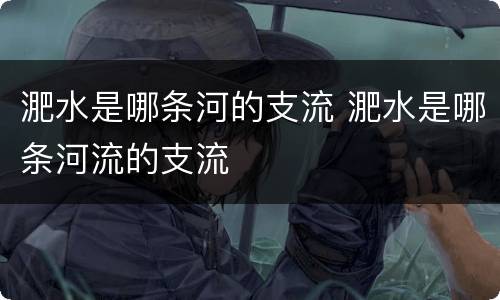 淝水是哪条河的支流 淝水是哪条河流的支流