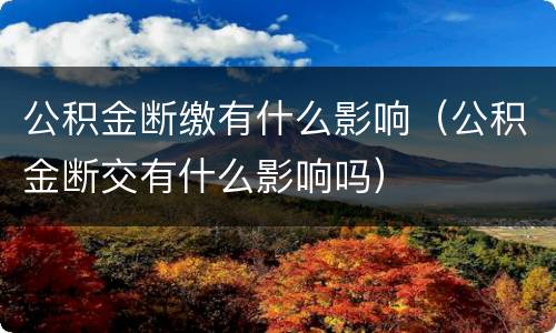 公积金断缴有什么影响（公积金断交有什么影响吗）
