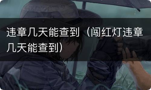 违章几天能查到（闯红灯违章几天能查到）