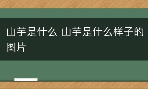 山芋是什么 山芋是什么样子的图片