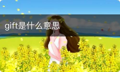 gift是什么意思