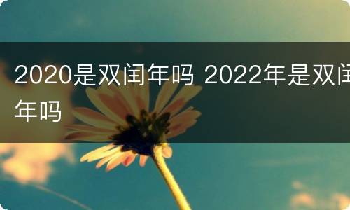 2020是双闰年吗 2022年是双闰年吗