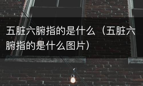 五脏六腑指的是什么（五脏六腑指的是什么图片）