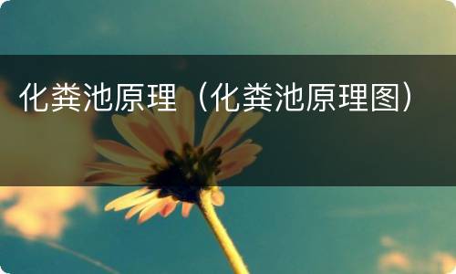 化粪池原理（化粪池原理图）