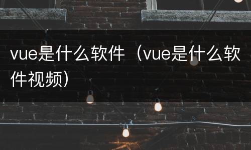 vue是什么软件（vue是什么软件视频）