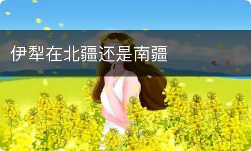 伊犁在北疆还是南疆