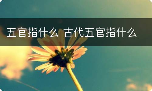 五官指什么 古代五官指什么