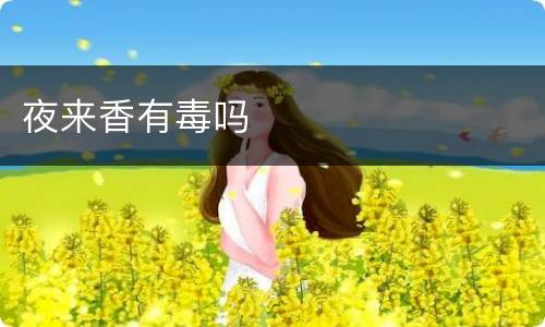 夜来香有毒吗