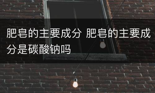 肥皂的主要成分 肥皂的主要成分是碳酸钠吗