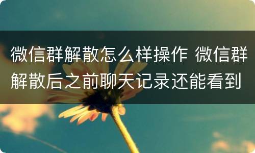 微信群解散怎么样操作 微信群解散后之前聊天记录还能看到么
