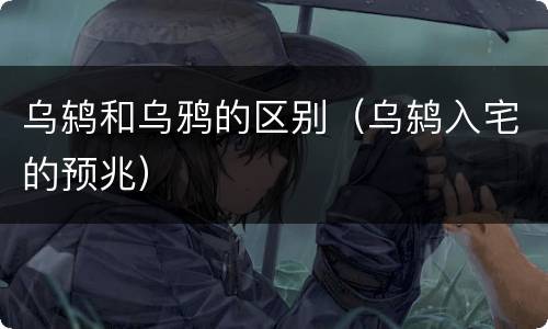 乌鸫和乌鸦的区别（乌鸫入宅的预兆）