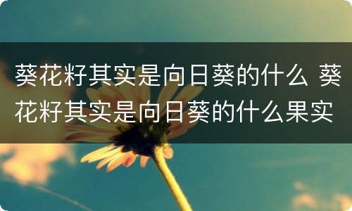 葵花籽其实是向日葵的什么 葵花籽其实是向日葵的什么果实
