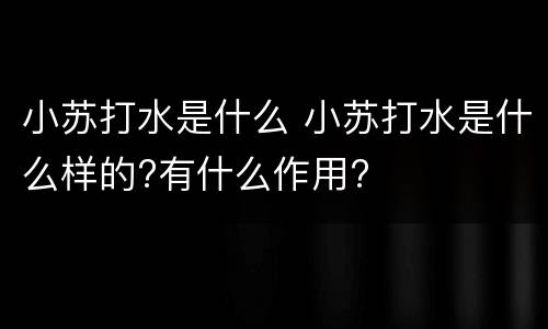 小苏打水是什么 小苏打水是什么样的?有什么作用?