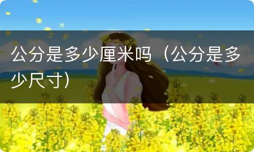 公分是多少厘米吗（公分是多少尺寸）