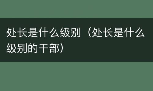 处长是什么级别（处长是什么级别的干部）