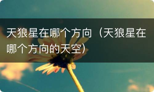 天狼星在哪个方向（天狼星在哪个方向的天空）