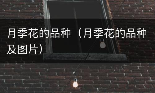 月季花的品种（月季花的品种及图片）