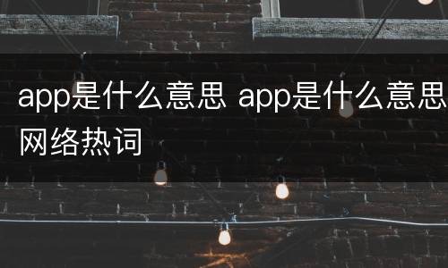 app是什么意思 app是什么意思网络热词
